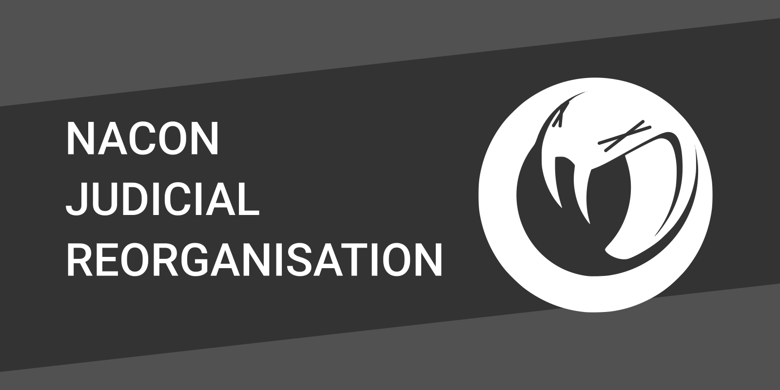 Nacon judicial reorganisation