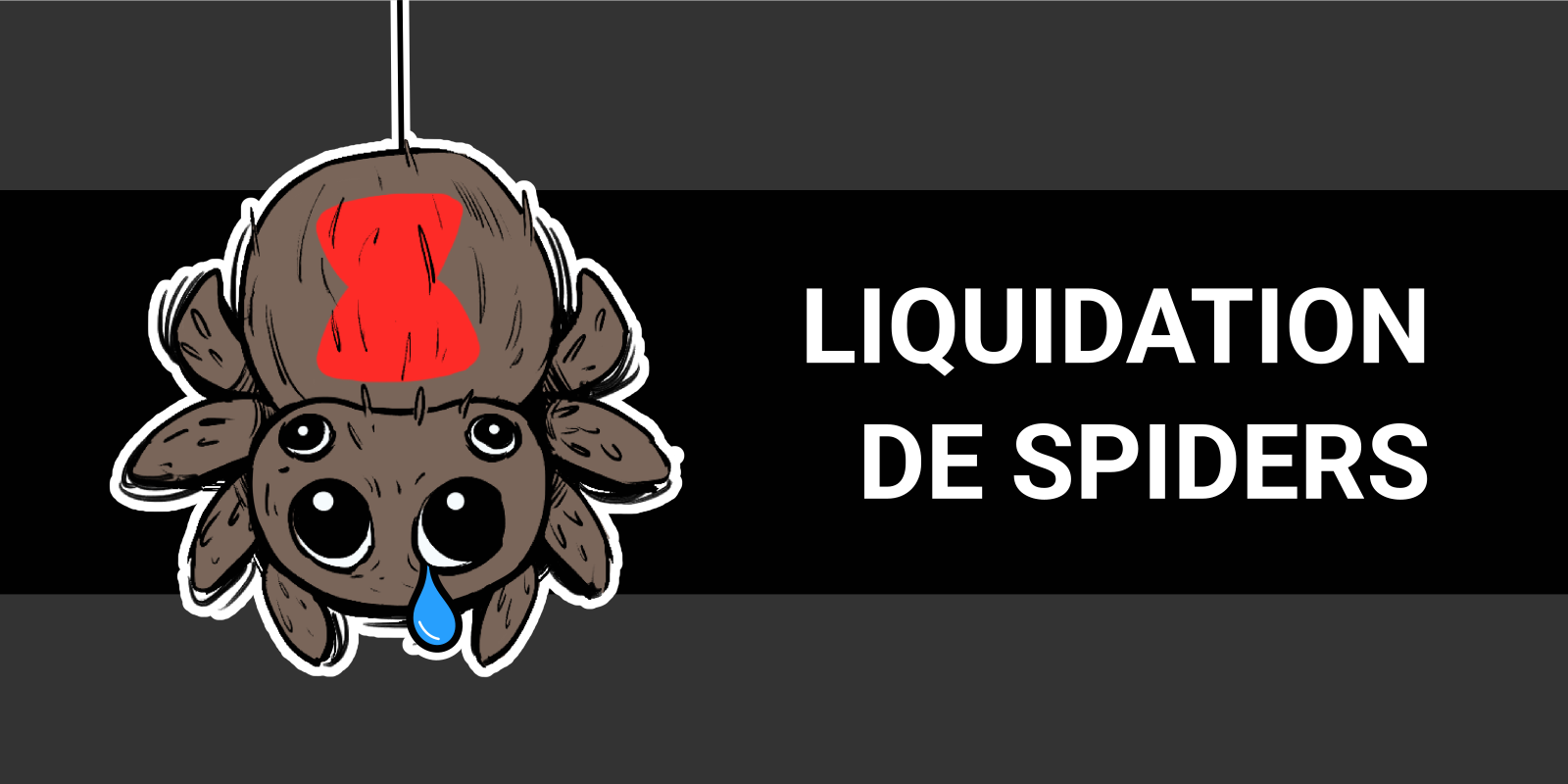 Liquidation de Spiders – récit d’une casse sociale – STJV